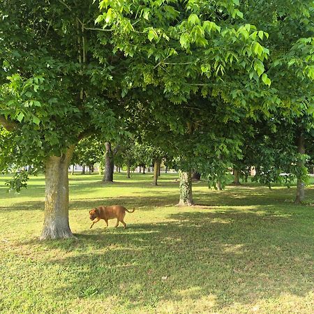 Villa 사바우디아 외부 사진